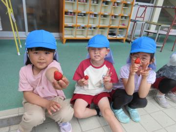 5歳児がイチゴを食べる様子