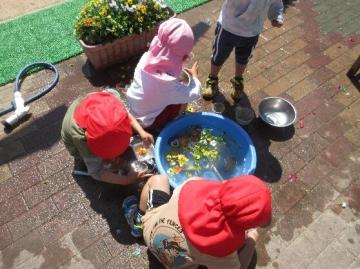 3歳児がお花を浮かべて遊んでいる様子