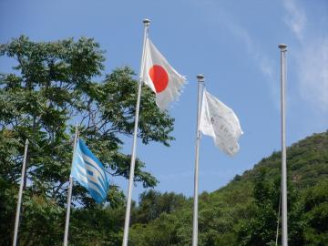掲揚柱で旗がなびく様子