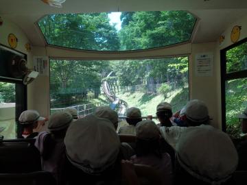モノレールで山に上がっていくところです。