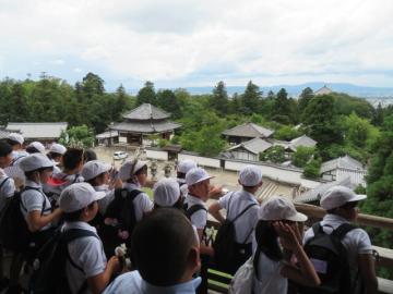 二月堂からのながめをたのしむ6年生