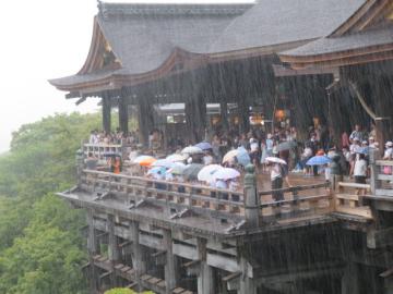 どしゃぶりのなか清水寺の舞台を見学する6年生