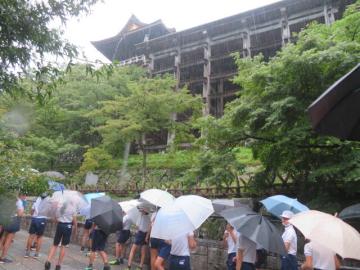 清水寺の舞台造りを見上げる6年生