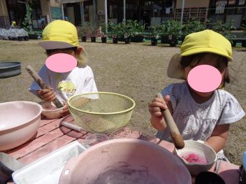 園児が園庭で色水を作っている様子