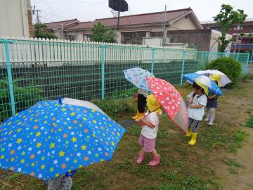 園児が園庭で傘をさして散歩をしている様子