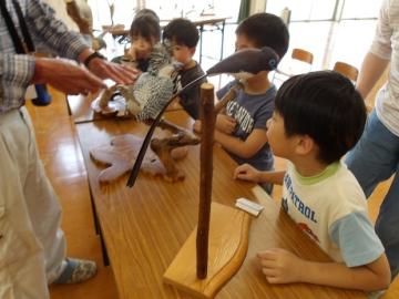 鳥博士に幼児が質問する様子