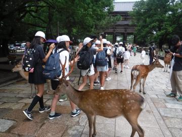 奈良見学のようす