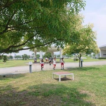 外は広々としていました。