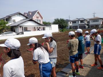 畑で5年生の児童たちがスイカを試食している様子