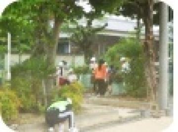 協力して木を運ぶ様子