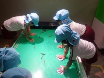 水族館でドクターフィッシュをしているところ