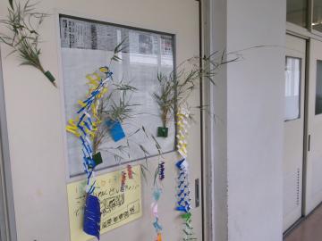 扉に願い事をつけた笹の様子