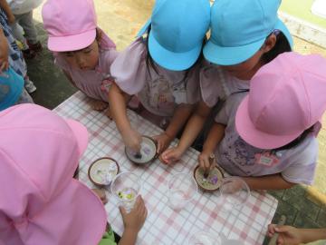 屋外で4歳児と5歳児が一緒に色水遊びをしているところ