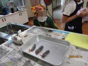 さばき終わった魚を見る様子