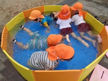 パタパタプールで遊んでいる写真