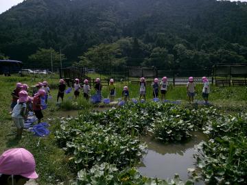 じゃぶじゃぶ池で遊び方の説明を聞いている園児の様子