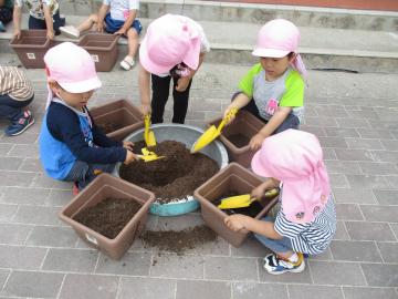 園庭で3歳児がプランターに土を入れている様子