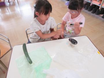 野菜で動物をつくる幼児
