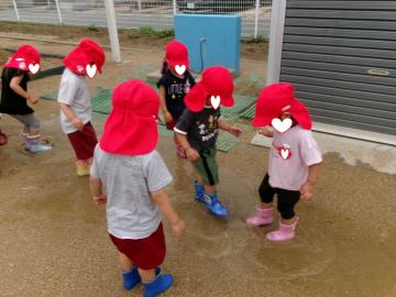 3歳児が雨の日に園庭散歩をしているところ