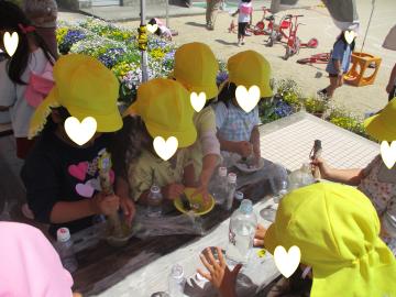 4歳児が色水遊びをしているところ