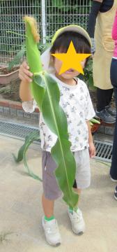 収穫したとうもろこしと記念撮影をする子ども