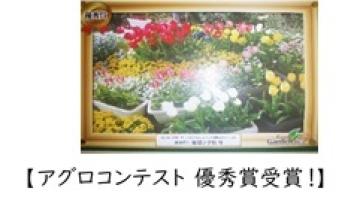 目や耳がついた木の写真