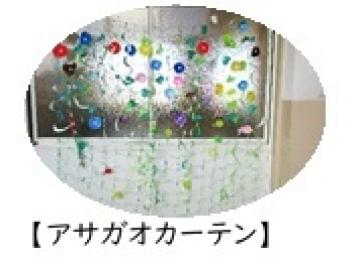 涼し気なアサガオカーテン
