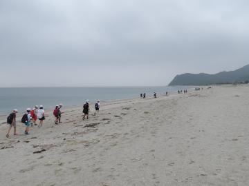 淡路の海岸の砂浜を歩いているところ