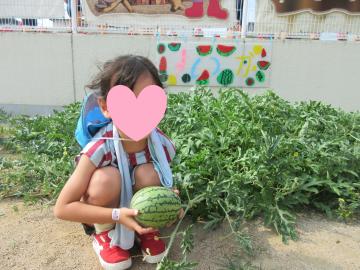 幼児がスイカを抱えているところ