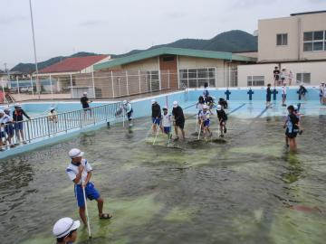 小学校のプールで清掃をしている児童たちの様子