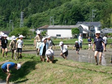 無事に田植えが終わり、児童たちが田んぼから出てくるようす