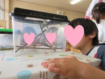 アゲハチョウを見ている写真