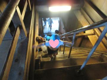 姫路城の階段を上っている写真