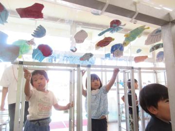 トンネルの上に魚を泳がせているところ