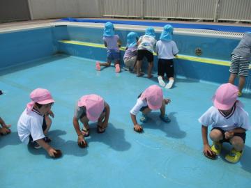 たわしでプールをこする子供たち(2)