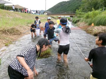 川遊びをしている様子