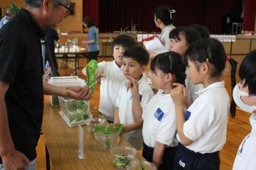 チョウの教室でチョウ博士に幼虫の生態について教えてもらう様子