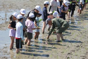 地域の方に田植えの仕方を教えてもらう様子