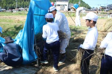 足踏み脱穀機で脱穀する児童たちの様子
