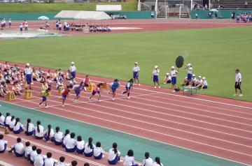 陸上競技大会に出場している選手たちの様子。トラック上で協議に参加しています。