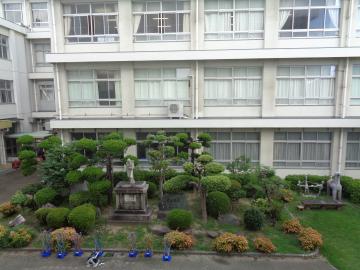 中庭の剪定も終わりました