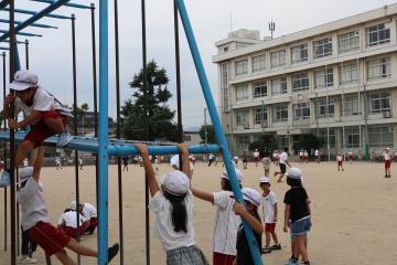 登り棒に登っています