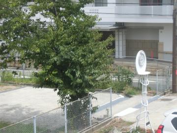 旧幼稚園への連絡通路の様子