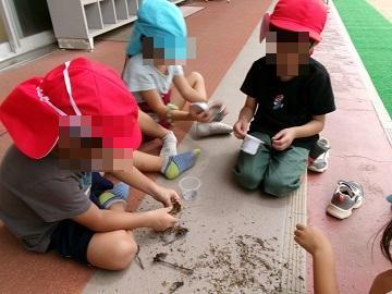 種取りをしている写真