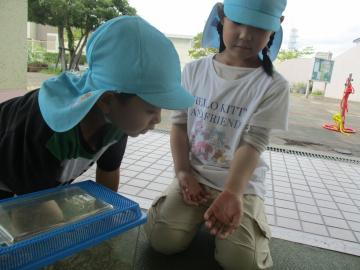 バッタを手にのせている女の子とそれをのぞく男の子