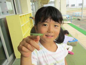 バッタを人差指にのせてこちらに見せる子供