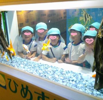 水槽越しに写真撮影
