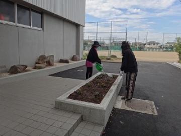 体育館前の花壇を整美する保護者