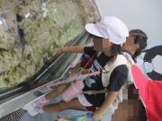 タッチプールでヒトデを触る様子