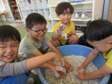 屋内で、シュレッダー紙がふわふわであることを触って体験する園児の様子